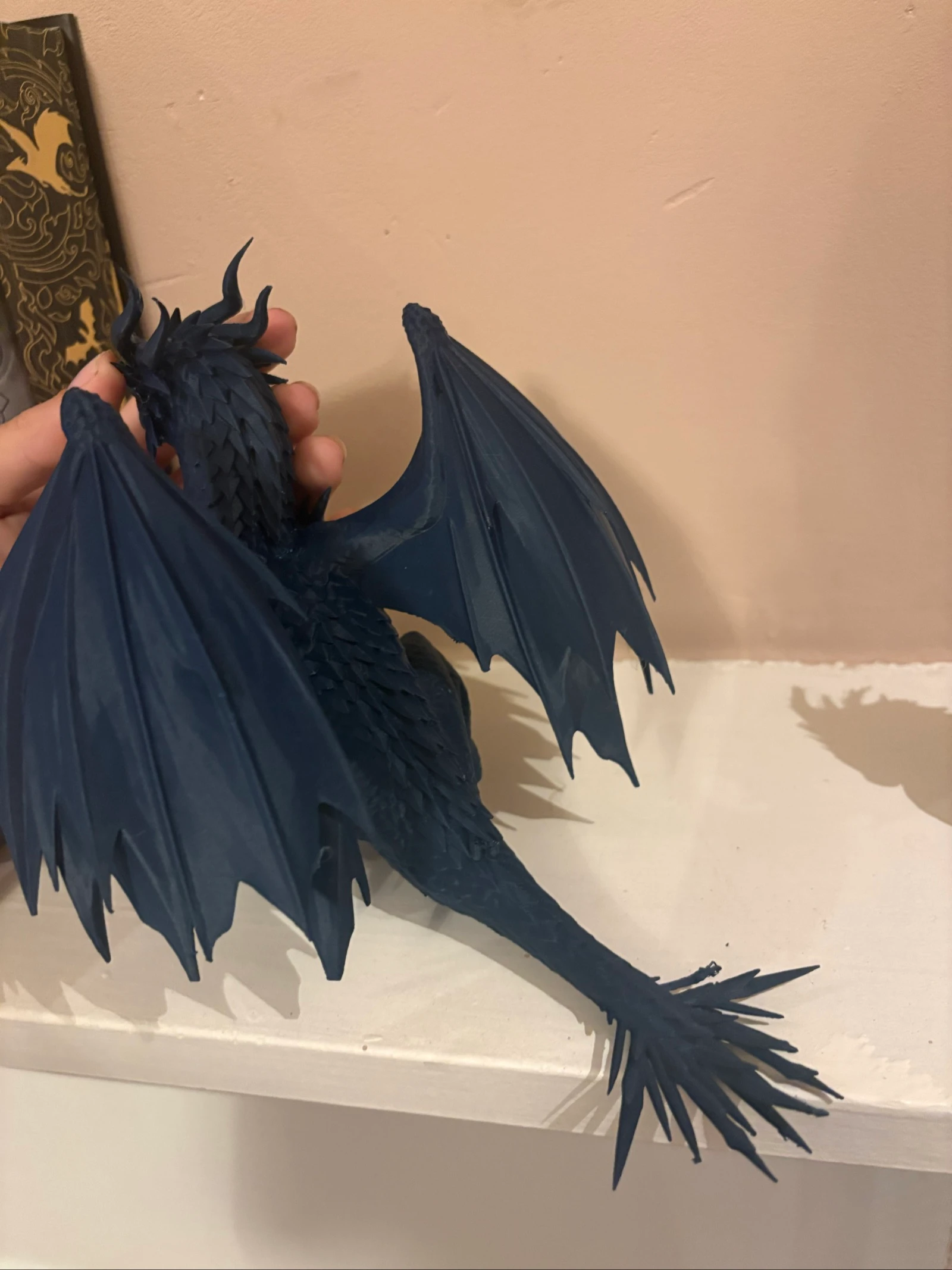 Sgaeyl dragon fourth wing – photo 3